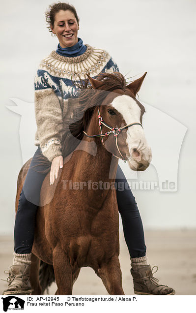 Frau reitet Paso Peruano / woman rides Paso Peruano / AP-12945