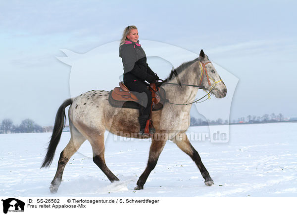 Frau reitet Appaloosa-Mix / woman rides crossbreed / SS-26582