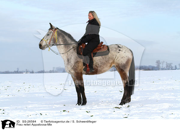 Frau reitet Appaloosa-Mix / woman rides crossbreed / SS-26584