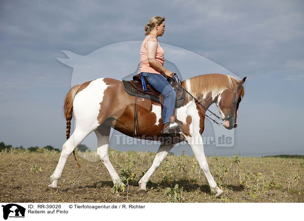 Reiterin auf Pinto / rider with pinto / RR-39026