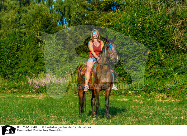 Frau reitet Polnisches Warmblut / woman rides Polish Warmblood / YJ-15040