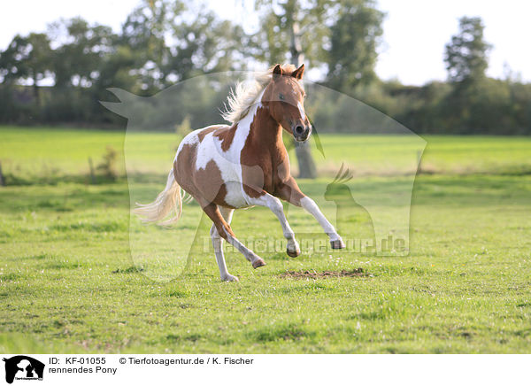rennendes Pony / KF-01055