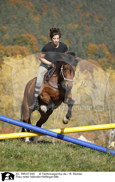 Frau reitet Islnder-Haflinger-Mix / woman rides crossbreed / RR-47395