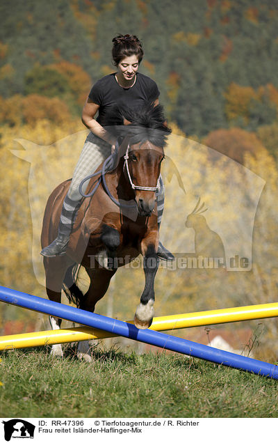 Frau reitet Islnder-Haflinger-Mix / RR-47396