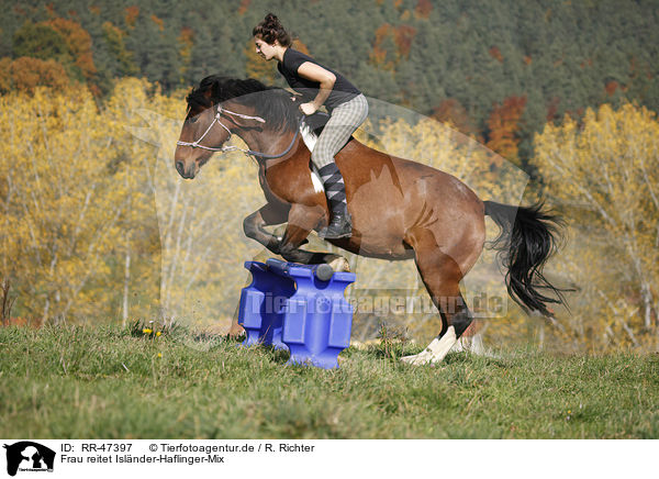 Frau reitet Islnder-Haflinger-Mix / woman rides crossbreed / RR-47397