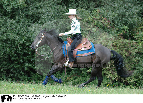Frau reitet Quarter Horse / AP-07818
