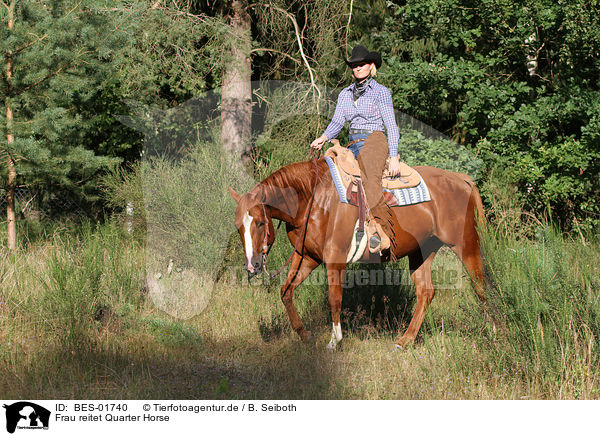 Frau reitet Quarter Horse / woman rides Quarter Horse / BES-01740
