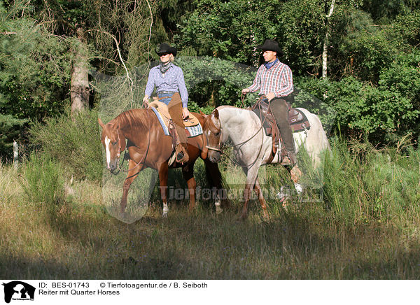 Reiter mit Quarter Horses / BES-01743