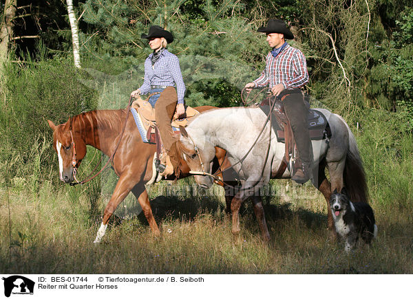 Reiter mit Quarter Horses / BES-01744
