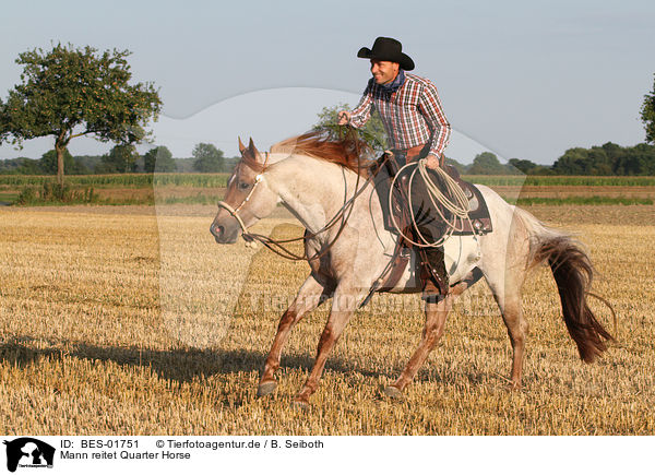 Mann reitet Quarter Horse / man rides Quarter Horse / BES-01751