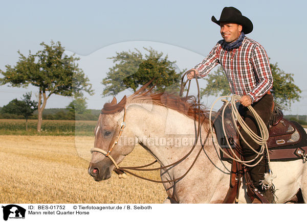 Mann reitet Quarter Horse / man rides Quarter Horse / BES-01752