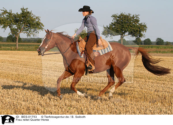 Frau reitet Quarter Horse / woman rides Quarter Horse / BES-01753