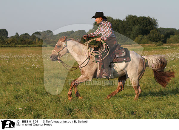 Mann reitet Quarter Horse / man rides Quarter Horse / BES-01754