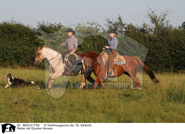 Reiter mit Quarter Horses / riders with Quarter Horses / BES-01756