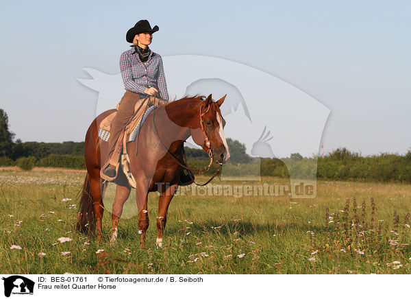 Frau reitet Quarter Horse / woman rides Quarter Horse / BES-01761