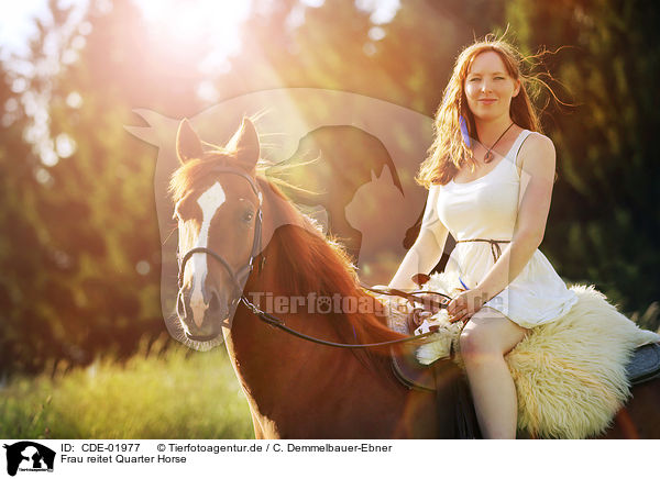 Frau reitet Quarter Horse / woman rides Quarter Horse / CDE-01977