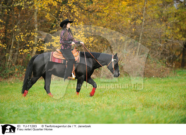 Frau reitet Quarter Horse / woman rides Quarter Horse / YJ-11283