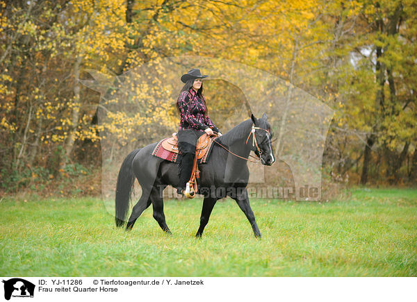 Frau reitet Quarter Horse / woman rides Quarter Horse / YJ-11286