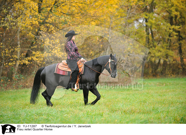 Frau reitet Quarter Horse / woman rides Quarter Horse / YJ-11287