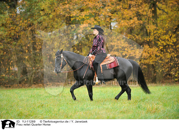 Frau reitet Quarter Horse / woman rides Quarter Horse / YJ-11289