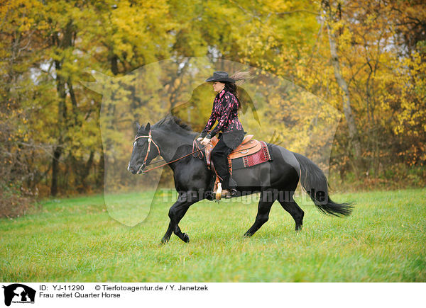 Frau reitet Quarter Horse / woman rides Quarter Horse / YJ-11290