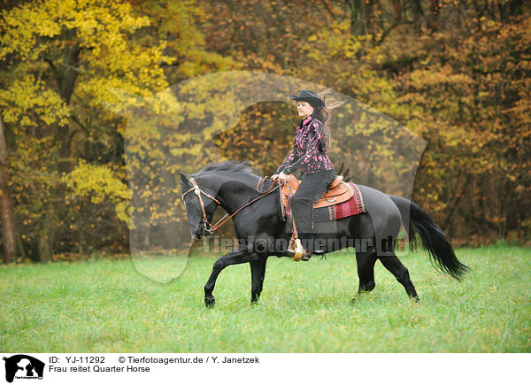 Frau reitet Quarter Horse / woman rides Quarter Horse / YJ-11292