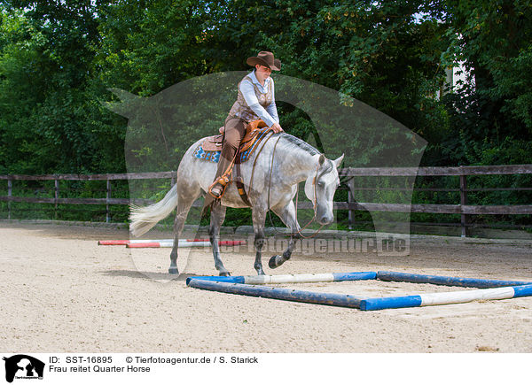 Frau reitet Quarter Horse / woman rides Quarter Horse / SST-16895
