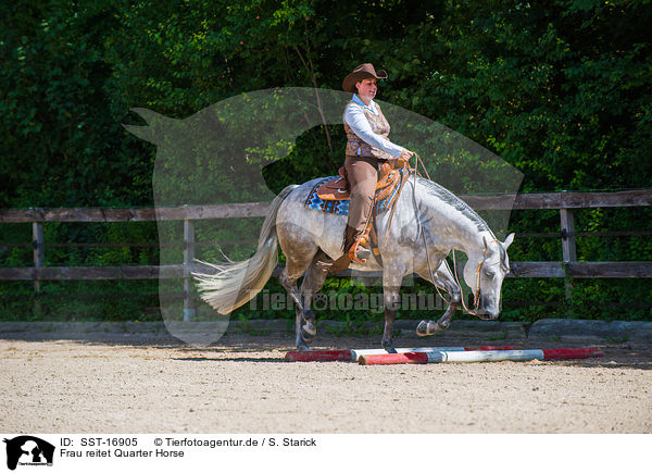 Frau reitet Quarter Horse / woman rides Quarter Horse / SST-16905
