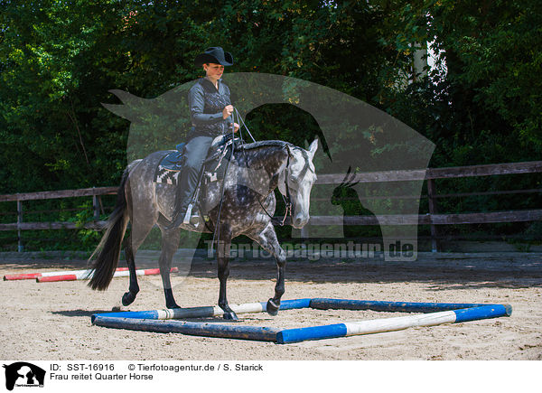 Frau reitet Quarter Horse / woman rides Quarter Horse / SST-16916