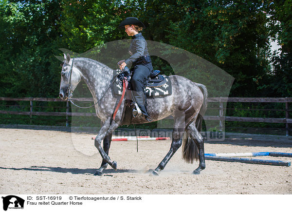 Frau reitet Quarter Horse / woman rides Quarter Horse / SST-16919