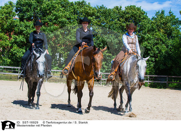 Westernreiter mit Pferden / western riders with horses / SST-16929