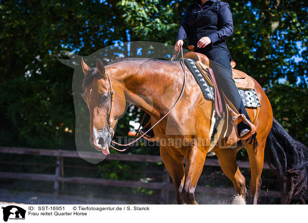 Frau reitet Quarter Horse / SST-16951