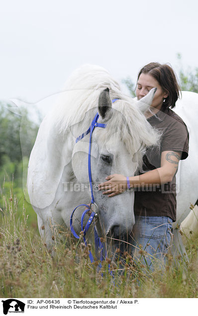 Frau und Rheinisch Deutsches Kaltblut / woman and coldblood / AP-06436