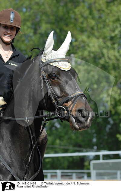 Frau reitet Rheinlnder / woman rides horse / NS-01468