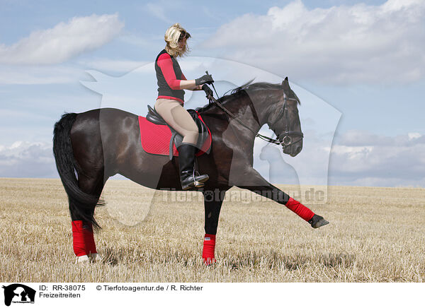 Freizeitreiten / riding woman / RR-38075