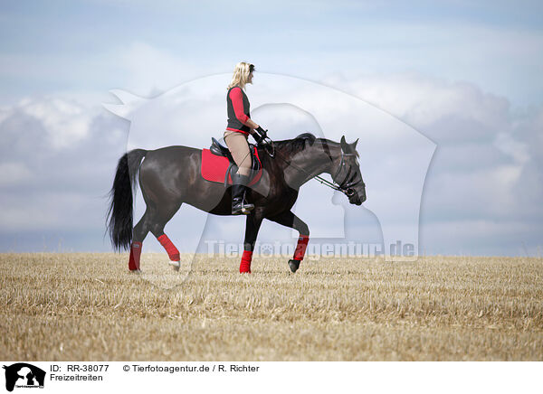 Freizeitreiten / riding woman / RR-38077