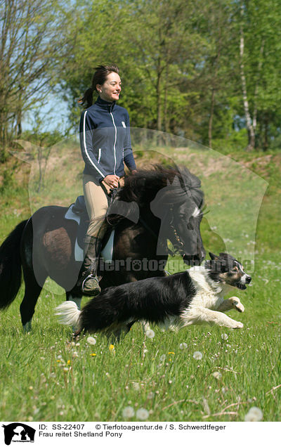 Frau reitet Shetland Pony / woman rides Shetland Pony / SS-22407