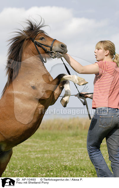 Frau mit Shetland Pony / woman with Shetland Pony / AP-10460