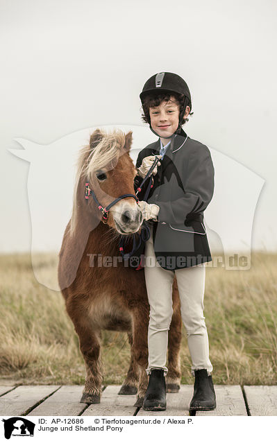 Junge und Shetland Pony / boy and Shetland Pony / AP-12686