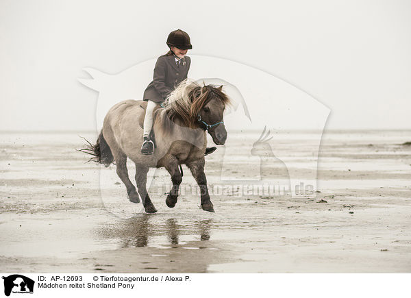 Mdchen reitet Shetland Pony / girl rides Shetland Pony / AP-12693