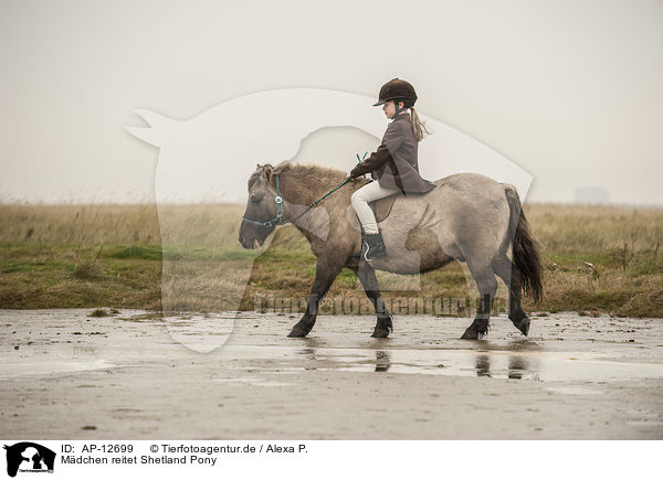Mdchen reitet Shetland Pony / girl rides Shetland Pony / AP-12699