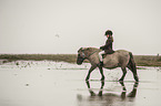 Mdchen reitet Shetland Pony
