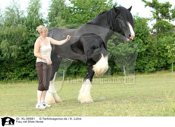 Frau mit Shire Horse / KL-06981