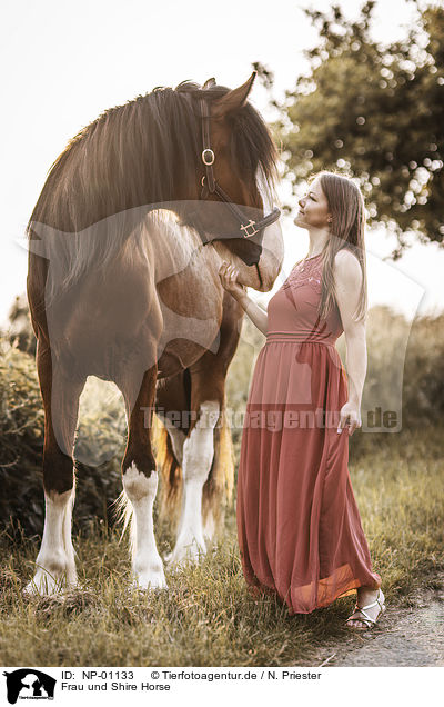 Frau und Shire Horse / waman and Shire Horse / NP-01133