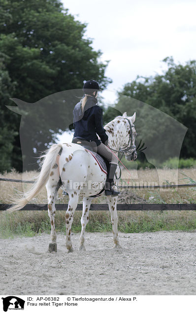 Frau reitet Tiger Horse / woman rides Tiger Horse / AP-06382
