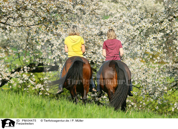 Freizeitreiten / riding / PM-04475