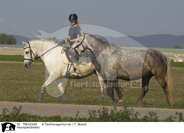 Handpferdreiten / riding / TM-02268