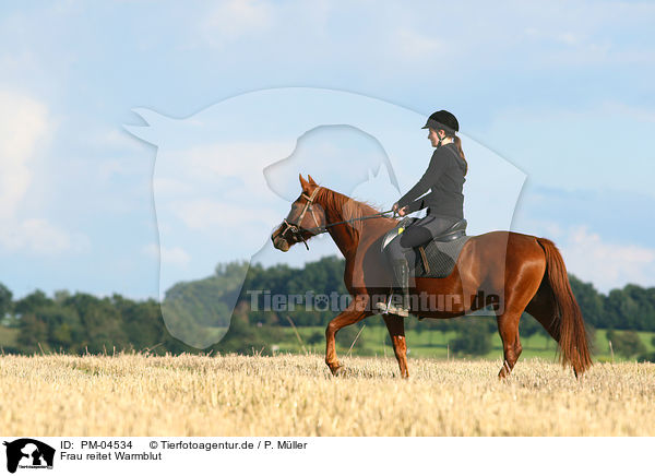 Frau reitet Warmblut / woman rides warmblood / PM-04534