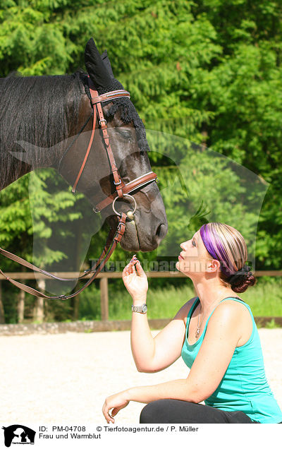 Frau und Warmblut / woman and warmblood / PM-04708