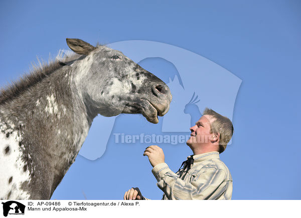 Mann und Appaloosa-Mix / man and Appaloosa-Mix / AP-09486